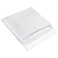 Expandable Ship-Lite® Envelopes